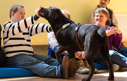 Razem – Bielsko z&nbsp;programem PITy roczne IPS